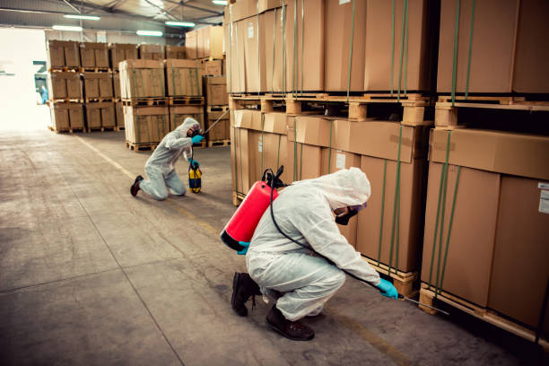 Best Residential Pest Control  in Hinckley, MN