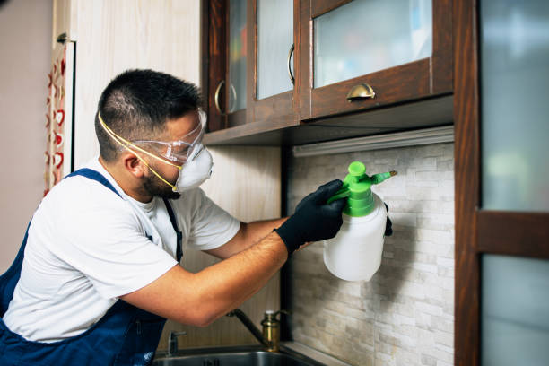 Best Emergency Pest Control  in Hinckley, MN
