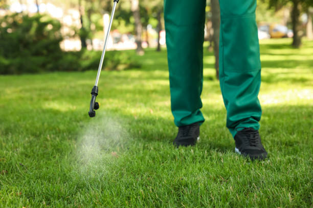 Best Wasp Removal Services  in Hinckley, MN