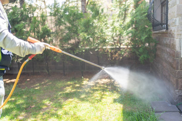 Best Best Pest Control Companies  in Hinckley, MN