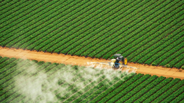Pest Control Cost in Hinckley, MN
