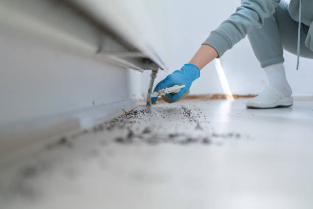 Reliable Hinckley, MN Pest Control Solutions